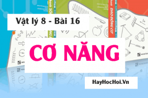 Cơ năng là gì? Thế năng trọng trường và thế năng đàn hồi là gì? Bài tập vận dụng - Vật lý 8 bài 16